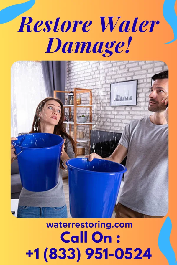 water restoration Platinum Damage Recovery LLC Grandview