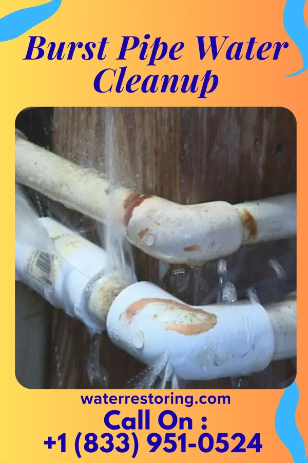 Burst Pipe Water Cleanup in Grandview, OK